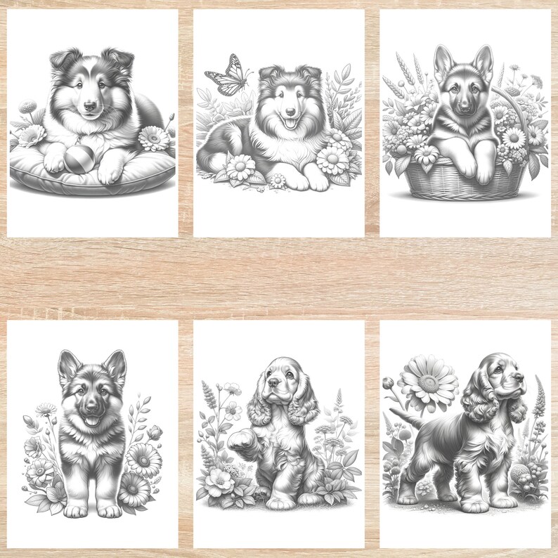 May include: Six black and white illustrations of dogs in various poses, surrounded by flowers. The dogs are a Collie, a German Shepherd, and a Cocker Spaniel.