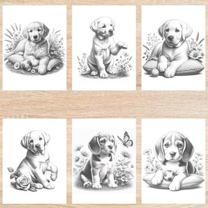 May include: Six black and white illustrations of puppies in a garden setting. Each puppy is sitting or lying down on a pillow with a ball or toy. The puppies are surrounded by flowers and greenery.