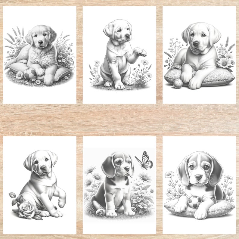 May include: Six black and white illustrations of puppies in a garden setting. Each puppy is sitting or lying down on a pillow with a ball or toy. The puppies are surrounded by flowers and greenery.
