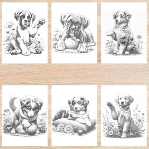 May include: Six black and white illustrations of puppies playing with balls. The puppies are a Boxer, an Australian Shepherd, and a Golden Retriever. The illustrations are in a cartoon style and are perfect for coloring.