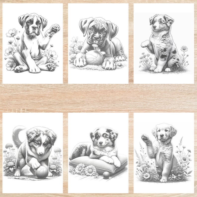 May include: Six black and white illustrations of puppies playing with balls. The puppies are a Boxer, an Australian Shepherd, and a Golden Retriever. The illustrations are in a cartoon style and are perfect for coloring.