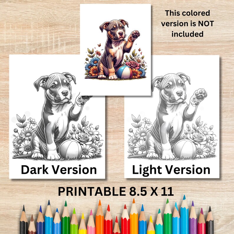 May include: Printable coloring page featuring a black and white illustration of a puppy sitting with a ball. The puppy is wearing a collar and has its paw raised. The puppy is surrounded by flowers. The text "Dark Version" and "Light Version" are below the images. The text "PRINTABLE 8.5 X 11" is below the images.