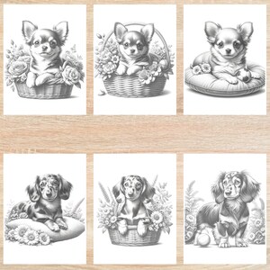 May include: A set of six black and white printable coloring pages featuring adorable dogs. The images include a chihuahua in a basket of flowers, a chihuahua on a pillow with a soccer ball, a dachshund in a basket of flowers, and a dachshund standing on a green surface with a soccer ball.