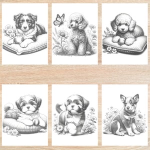 May include: Six black and white illustrations of different dog breeds, each with a playful expression. The dogs are depicted in various poses, including sitting, lying down, and standing. Some of the dogs are holding a ball in their mouths.