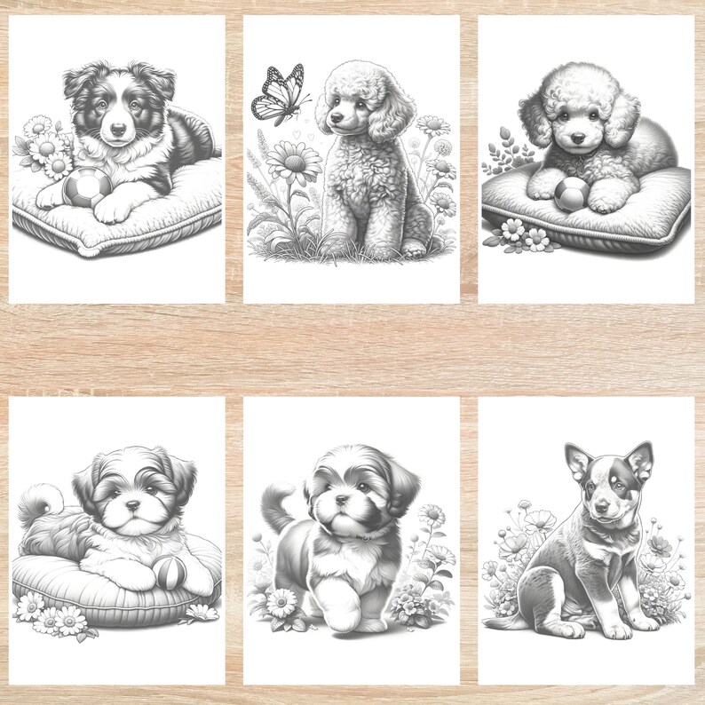 May include: Six black and white illustrations of different dog breeds, each with a playful expression. The dogs are depicted in various poses, including sitting, lying down, and standing. Some of the dogs are holding a ball in their mouths.