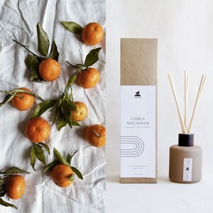 May include: A brown diffuser bottle with a label that reads "Citrus Splendour Grapefruit, Lime, Cedarwood" and a set of brown wooden diffuser sticks. The bottle is sitting on a white surface with a white background. There are several oranges scattered around the bottle.