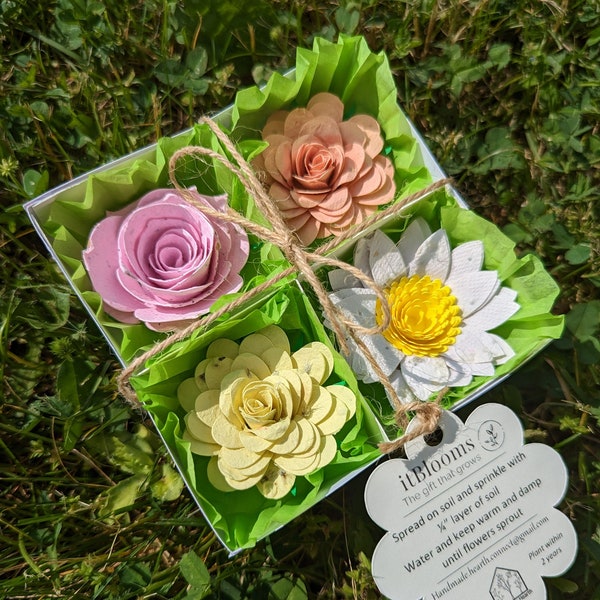 Seed Paper Flower Gift Set