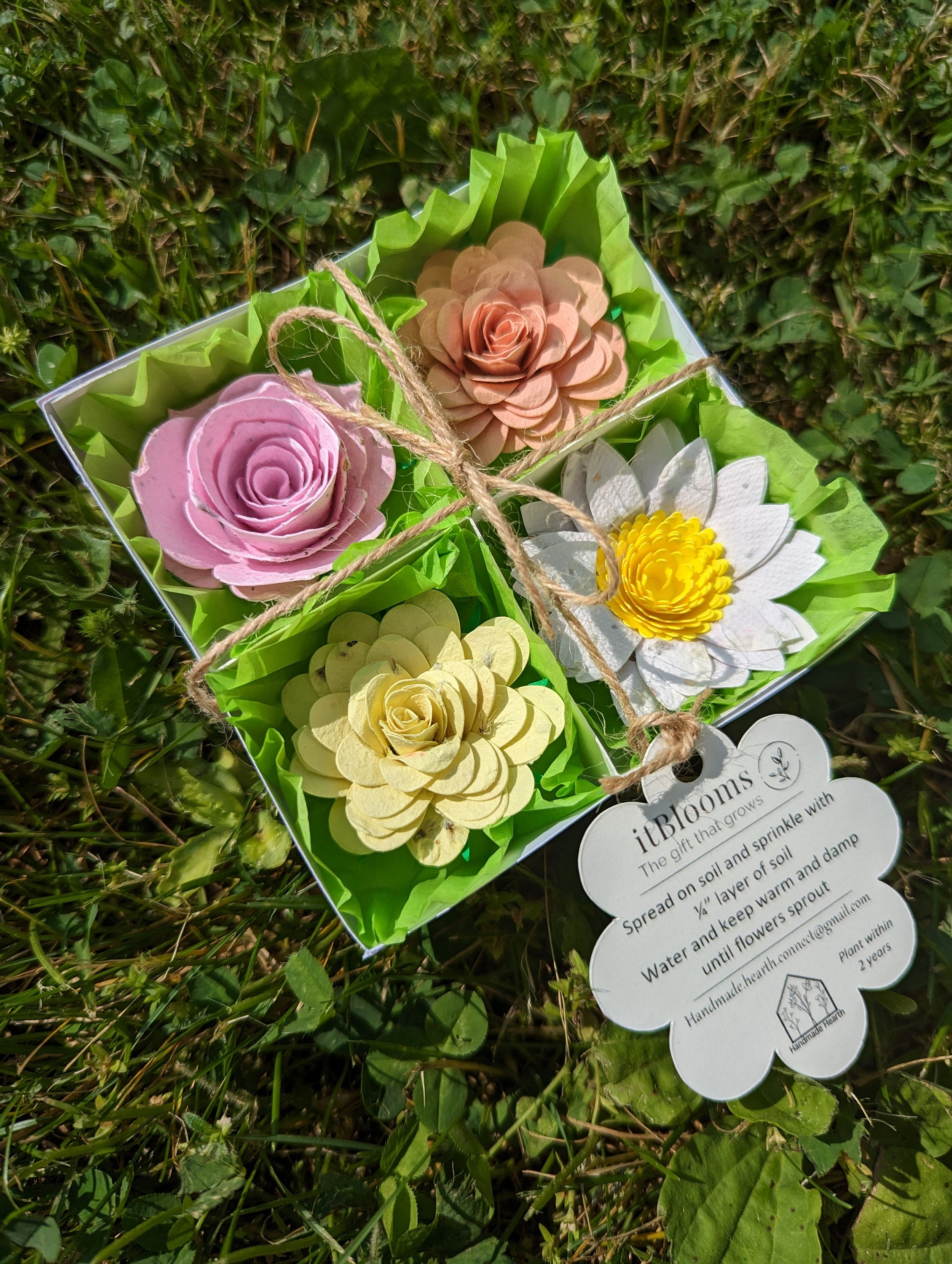 Seed Paper Flower Gift Set Etsy