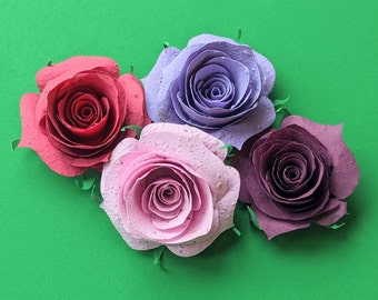 Seed Paper Rose