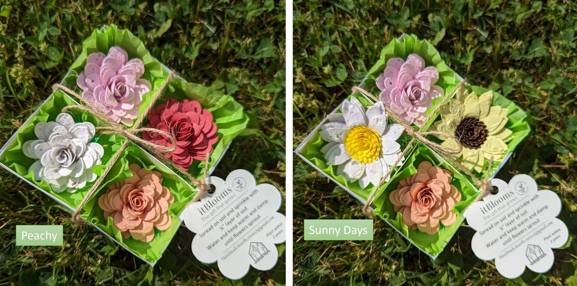 Seed Paper Flower Gift Set Etsy