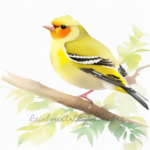 Goldfinch Clipart - Garden Wildlife,Finch Image,Small Bird Art.