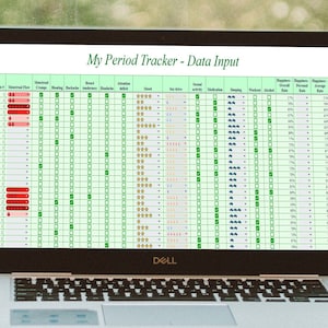 May include: A laptop computer screen displaying a spreadsheet with the title "My Period Tracker - Data Input". The spreadsheet has columns for date, menstrual flow, mood, sleep, and other factors related to a person's menstrual cycle.