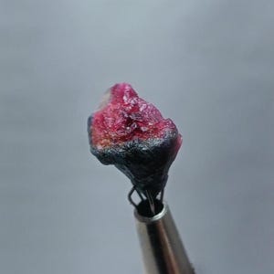 May include: A close-up of a pink and black gemstone held by a metal tool. The gemstone has a rough, irregular shape and a shiny, iridescent surface.