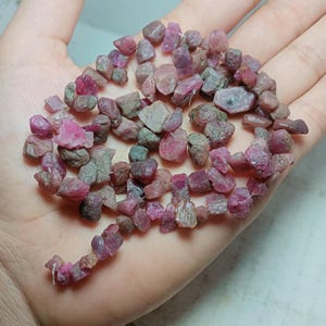 Puede incluir: Una colección de piedras preciosas de rubí en bruto en varios tonos de rosa y rojo, algunas con un tono verde grisáceo. Las piedras en bruto se muestran en una mano, mostrando su estado natural y sin pulir. Las piedras preciosas varían en tamaño y forma.