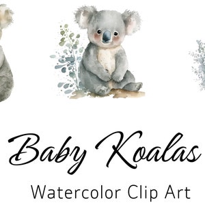 Baby Koala Clipart | Koala PNG | Baby Animals | Farm Animals PNG | Baby Koala | Nursery Wall Art | Cute Animals Clipart