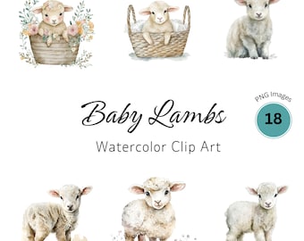 Baby Lamb Clipart | Lamb PNG | Baby Animals | Farm Animals PNG | Baby Sheep | Nursery Wall Art | Cute Animals Clipart