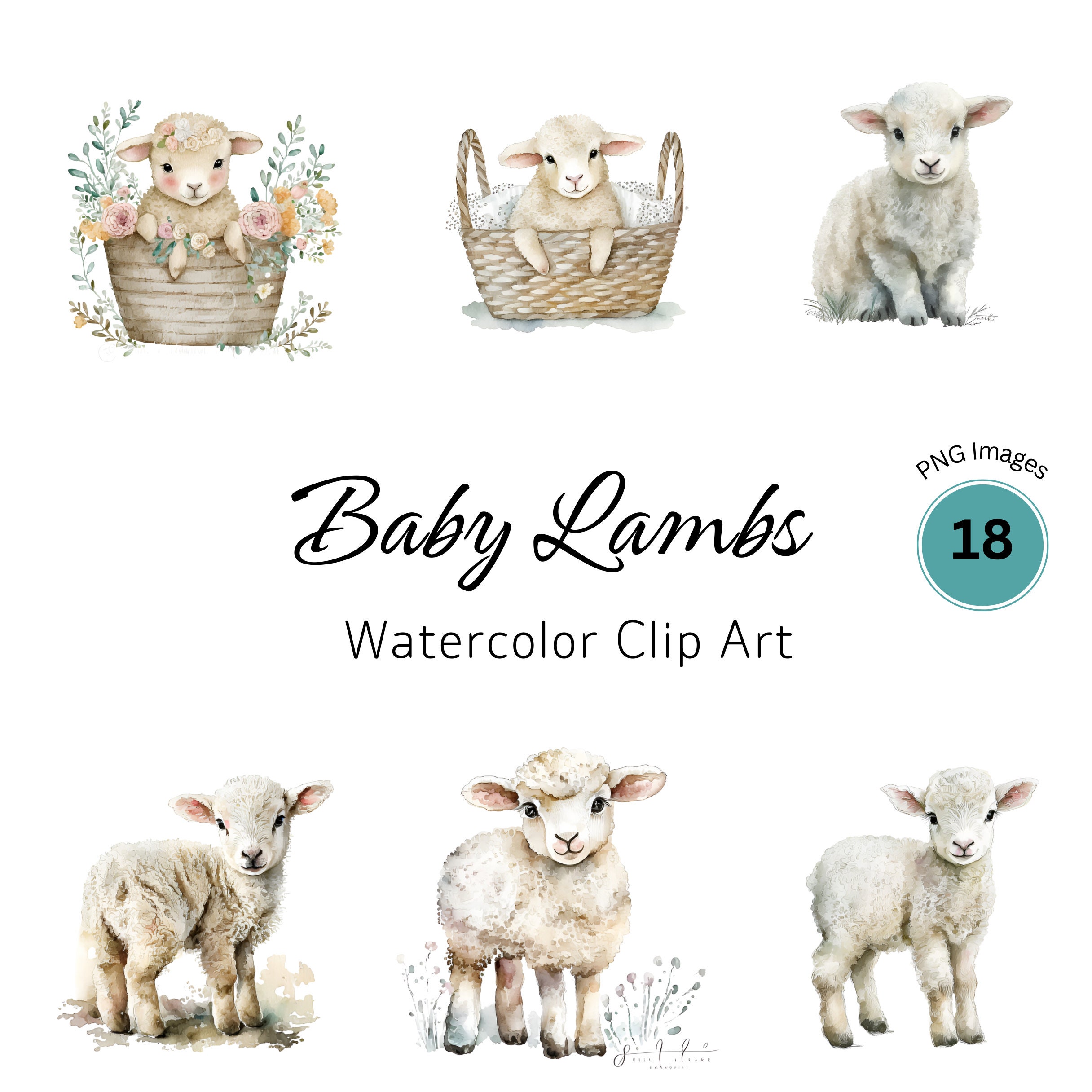 Baby Lamb Clipart Lamb PNG Baby Animals Farm Animals PNG Baby Sheep