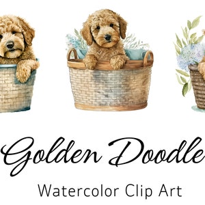 Clipart Goldendoodle | Chien PNG | Griffonnage doré PNG | Clipart de chien mignon | Clipart de pépinière | Aquarelle de chien | Images de chiots | Licence commerciale