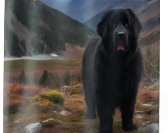 Mountain Majesty Shower Curtain: Transform your bathroom with our 71" x 74" curtain, showcasing a noble Newfoundland amid towering peaks