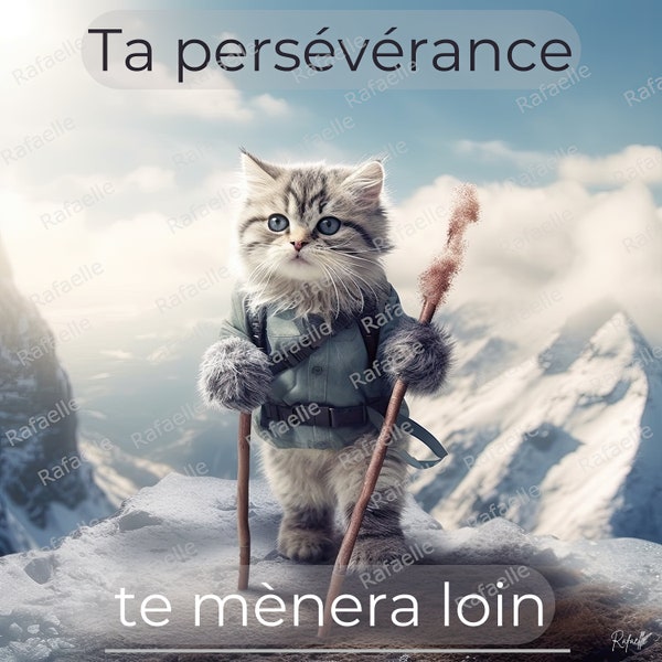 Chat persévérance, motivation à l'école, imprimable, téléchargement numérique. Digital Wall Art Print, Funny Cat Poster, Cute Kitten.