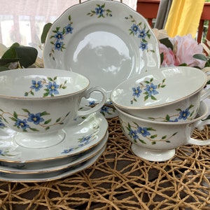 Vintage Favolina Maria Pattern Set of Dishware/Home Decor/Kitchenware