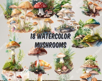 18 Watercolor Mushrooms Cute Forest Nature Toadstool Clip Art in Transparent PNG Format