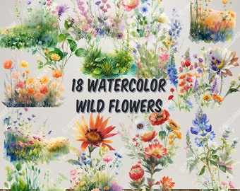 18 Watercolor Wild Flowers Clipart - spring Meadow floral Transparent PNG format for commercial use