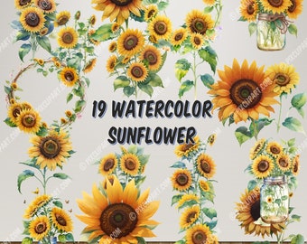 19 Watercolor Fall Sunflower Floral Bouquets in Transparent PNG Format