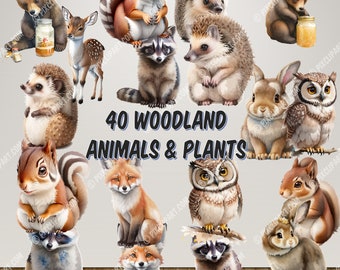 40 Woodland Animals & Plants Clipart Watercolor Set - Commercial Use, Transparent PNGs - Nursery Clipart, Fox, Bear, Deer, Hedgehog