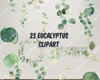 23 Watercolor Eucalyptus Clipart Set - Baby Blue & Greenery - Individual Elements - Transparent PNG - Digital Watercolor Greenery