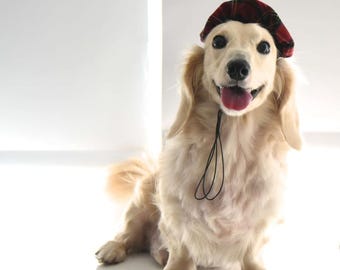 Tartan Pet Beret – Elegant Dog / Cat Hat, Handmade, Black Blue Red Purple Yellow Pink