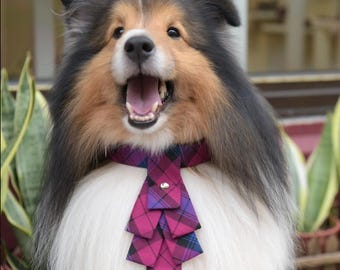 Festive Dog Collar with Tie – Adjustable Christmas Outfit for Small & Large Dogs