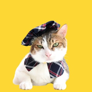 May include: A white and brown tabby cat wearing a blue and red plaid beret and matching scarf. The cat is looking directly at the camera with a serious expression.