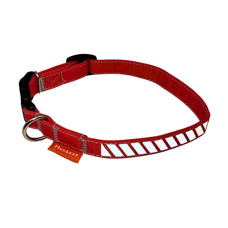May include: Red dog collar with a reflective white stripe and the word "Mudless" printed on the side.