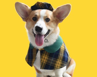 Elegant Pet Cape & Beret Set – Dog / Cat Outfit, Tartan Style, Yellow Red Blue