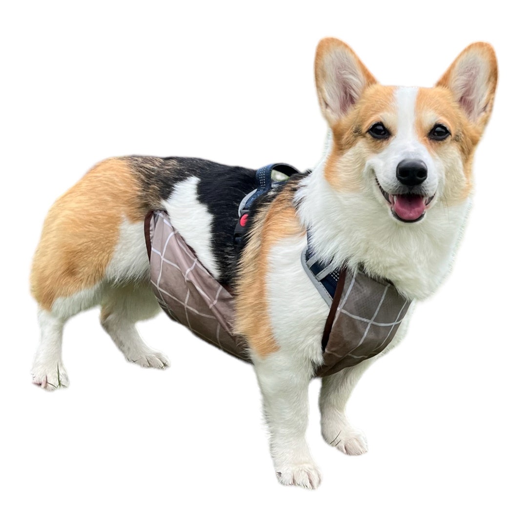 Mudless MUDLESS Waterproof Dog Belly Vest Jacket – Lightweight, Adjustable ...