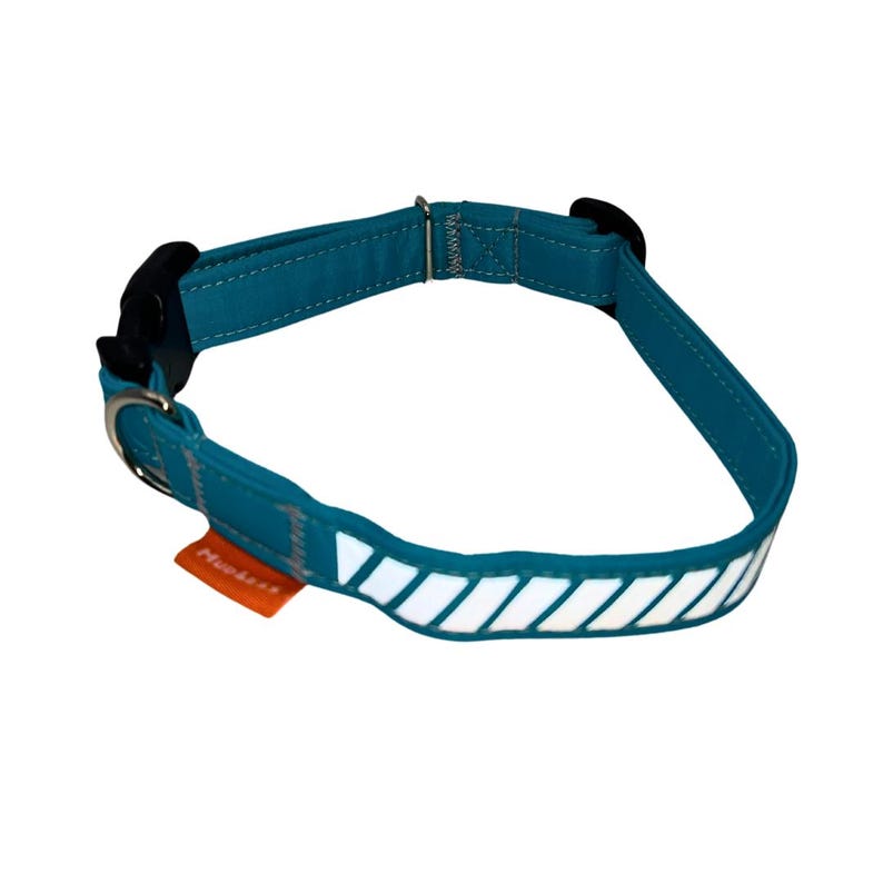 May include: Teal blue dog collar with reflective white stripes and a black buckle. The collar has a small orange tag that says "Muddy Paws".