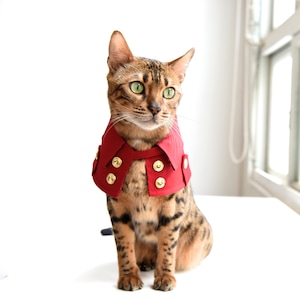 Classic Red Pet Trench Coat – Stylish Dog And Cat Jacket, Handmade
