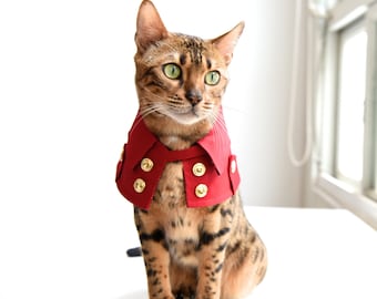 Classic Red Pet Trench Coat – Stylish Dog And Cat Jacket, Handmade