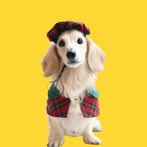 May include: A small, white dog wearing a red and green plaid hat and matching vest. The dog is looking directly at the camera.