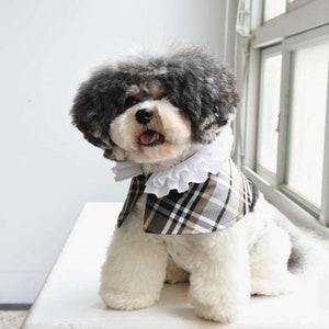 Luxury Pet Cape – Tartan Ruff Collar for Dogs & Cats, Handmade, Black