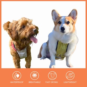 MUDLESS Collar-On Waterproof Dog Belly Vest – Lightweight, Mudproof, Rainproof, Adjustable – Outdoor Indoor Clean Dog Cover