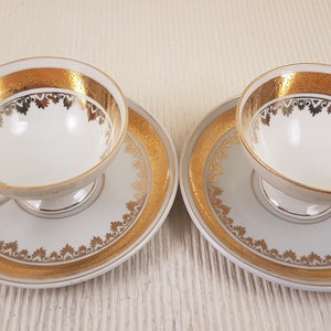 Oscar Schlegelmilch porcelain teacup and saucer.Vintage Germany porcelain. set of two