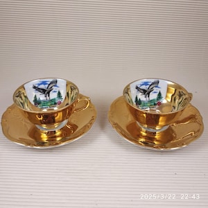 Vintage Tirschenreuth Bavaria Demitasse Cup & Saucer Set