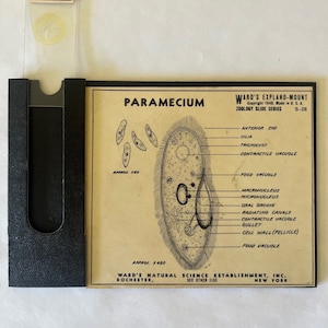 May include: Vintage zoology slide series S-28, featuring a detailed illustration of a Paramecium, labeled with its parts. Includes a slide with a specimen and a black holder. The text reads "Ward's Explano-Mount" and "Ward's Natural Science Establishment, Inc."