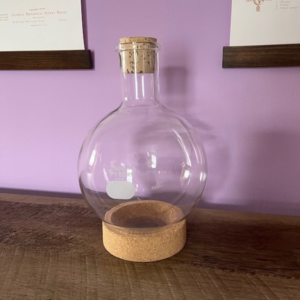 2 Liter Pyrex Round Bottom Glass Flask With Cork Ring Base and Cork Stopper