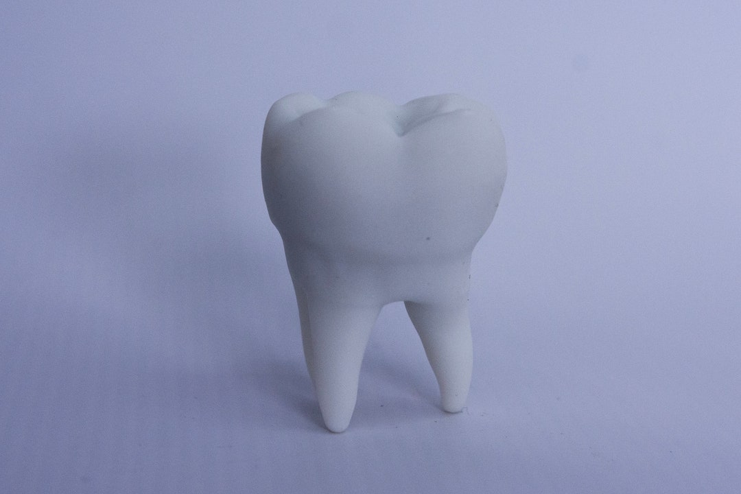 Tooth Retuch White Resin Tooth Figurine - Etsy
