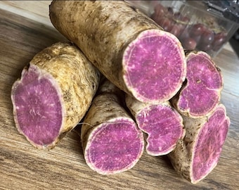 Japanese - 5 Okinawa Purple Sweet Potato slips for planting (unrooted)