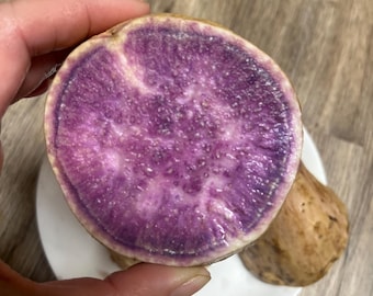10 Cuttings of Okinawa sweet potatoes  - pls READ Description and see final picture for real - low shipping fee, fast services