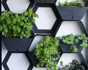 3D Printed Hexagon Self-watering Wall Planters